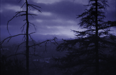  los-angeles-hollywood-griffith-park-photography-matthias-grunsky 