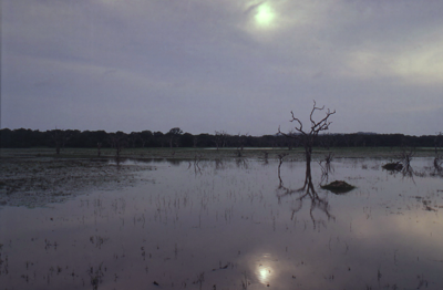  sri-lanka-photography-matthias-grunsky 