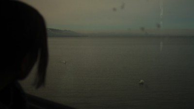  lake-constance-photography-matthias-grunsky 