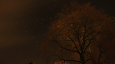  night-sky-tree-photography-matthias-grunsky 