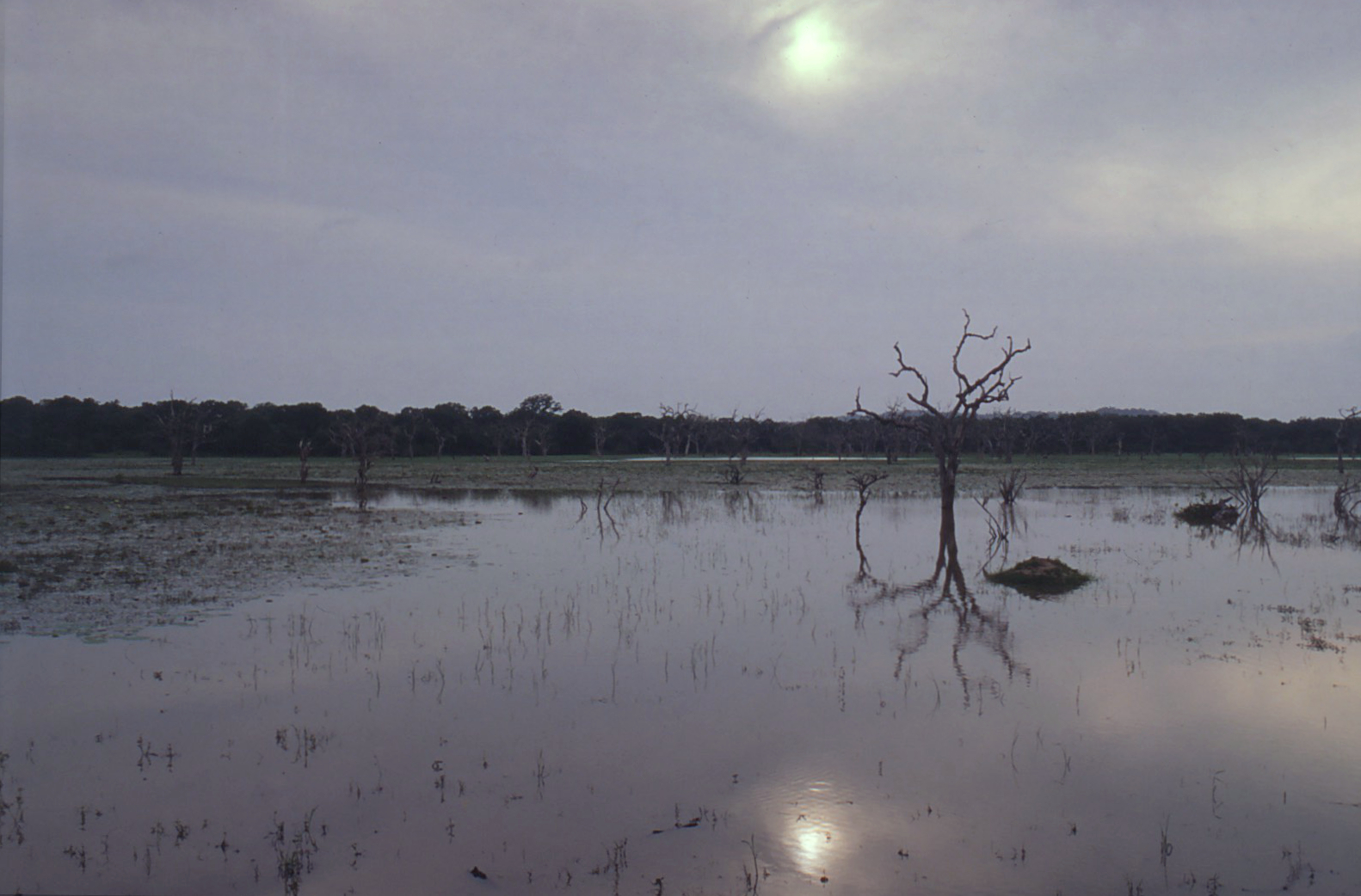  sri-lanka-photography-matthias-grunsky 