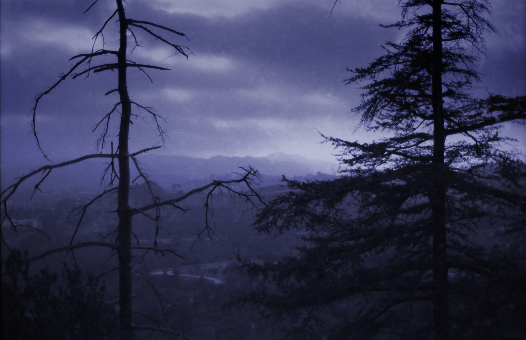  los-angeles-hollywood-griffith-park-photography-matthias-grunsky 