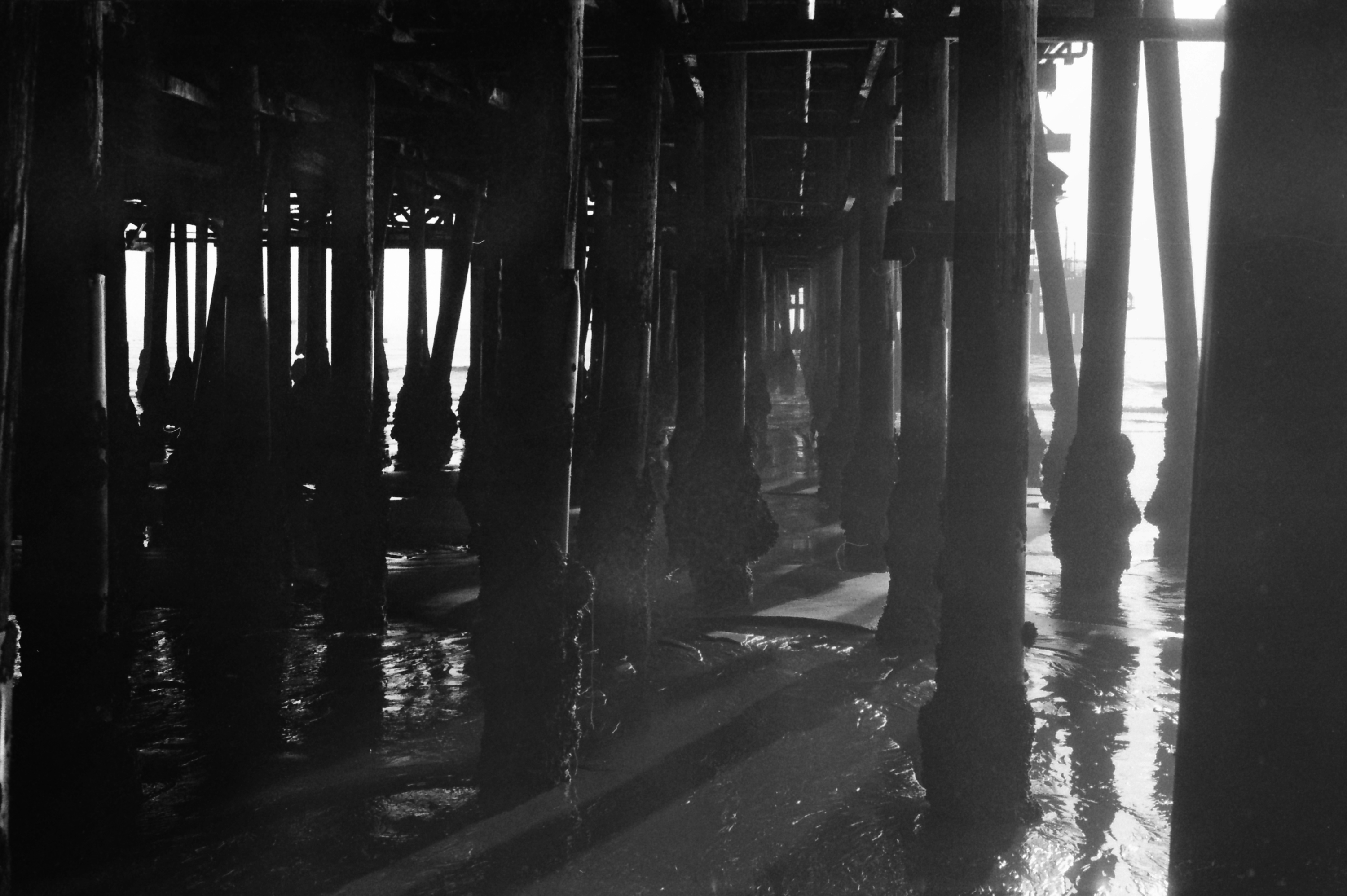  california-matthias-grunsky 