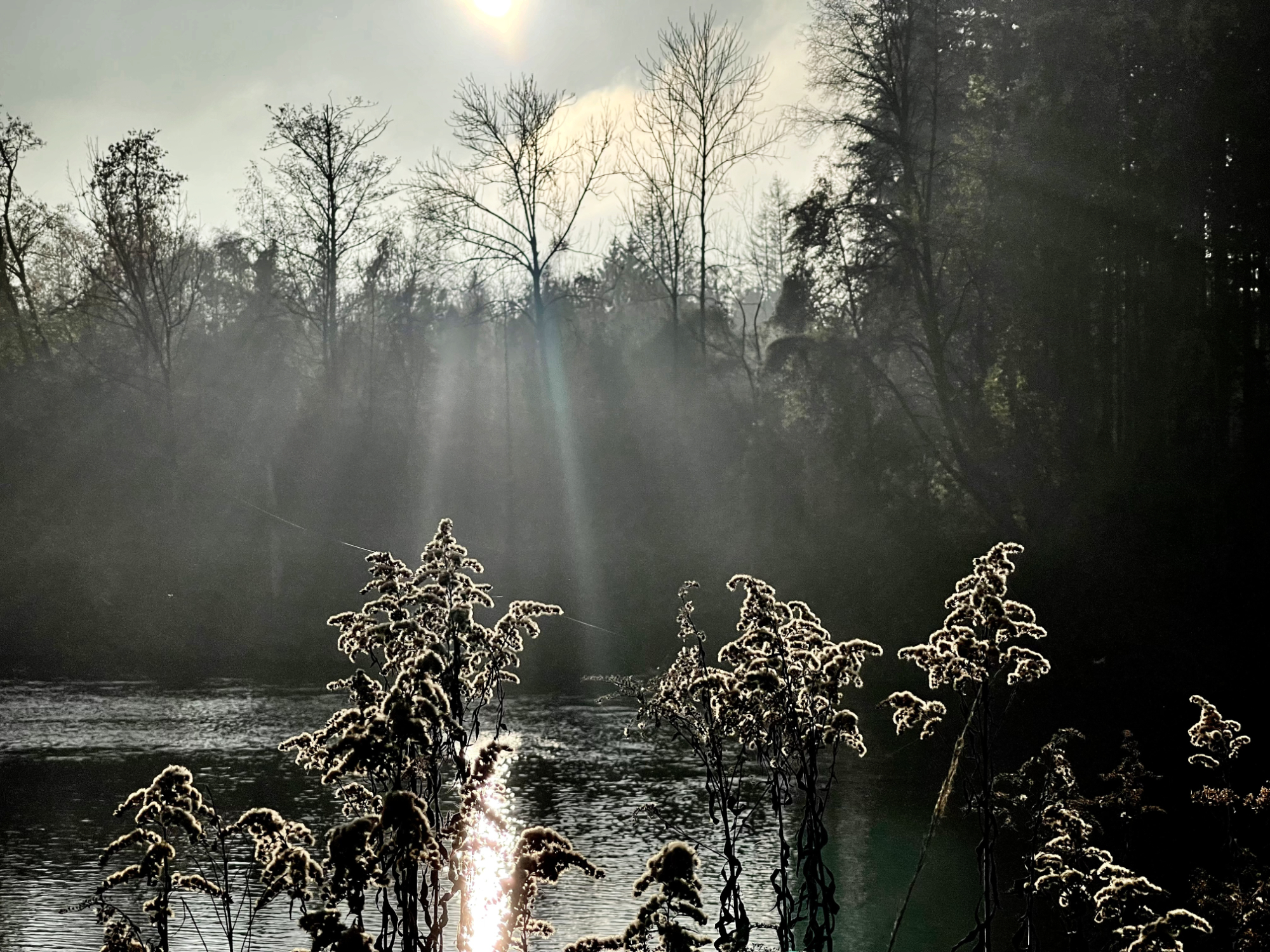  Isarauen | Bavaria 2025 